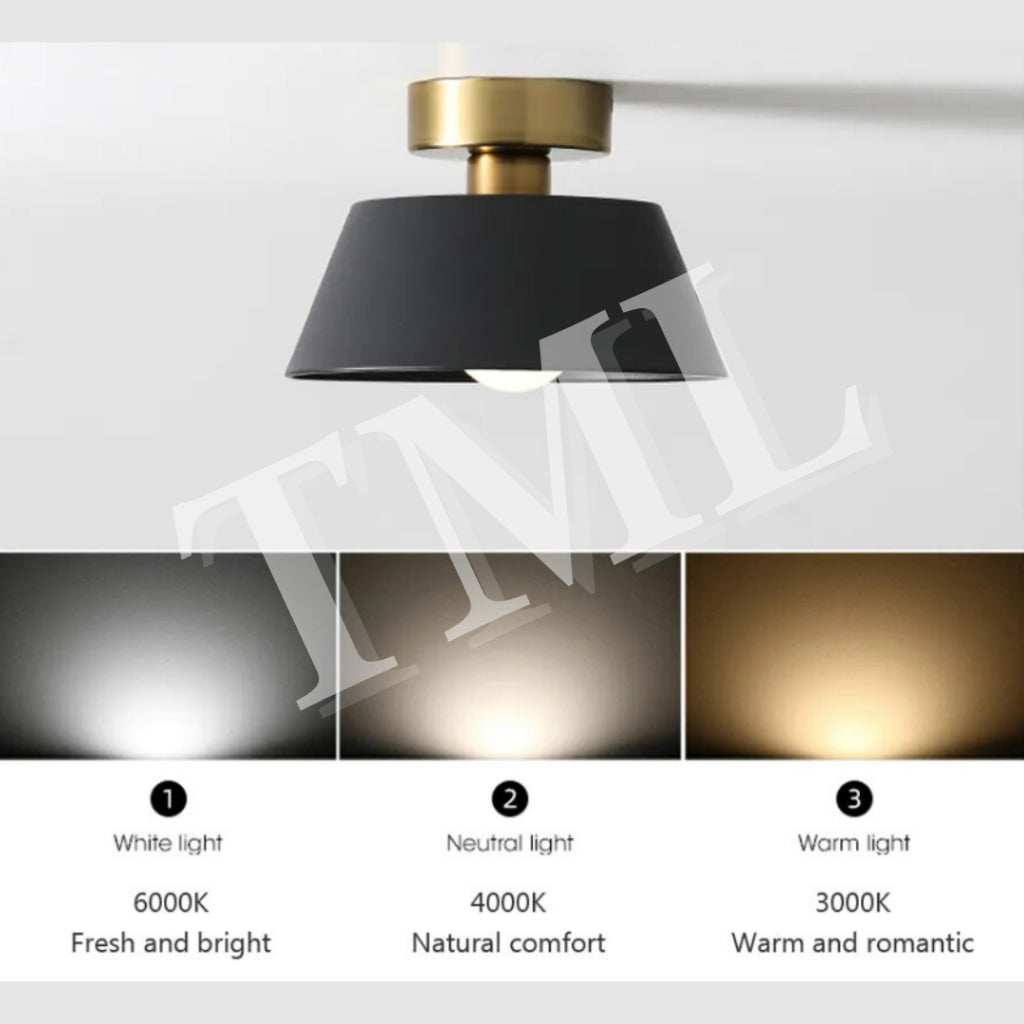 Premium Lumiere E27 Surface LED Ceiling Light Black White with Gold